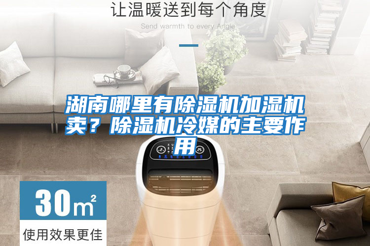 湖南哪里有除濕機(jī)加濕機(jī)賣？除濕機(jī)冷媒的主要作用