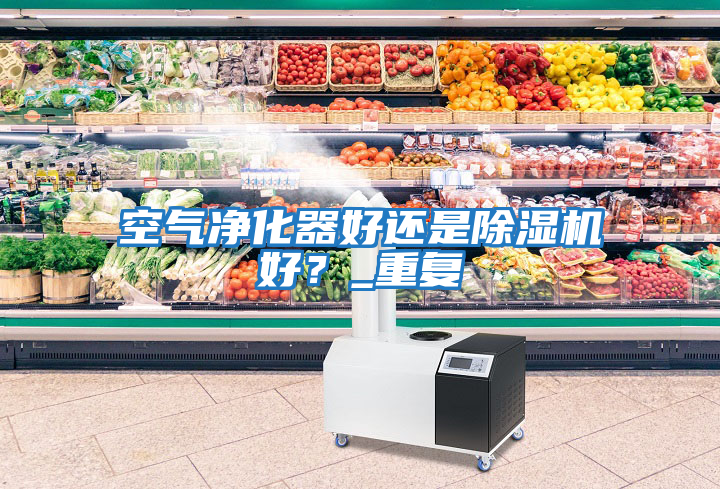 空氣凈化器好還是除濕機好？_重復