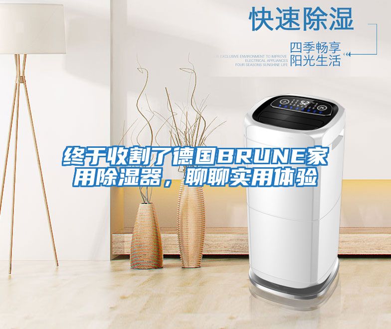 終于收割了德國BRUNE家用除濕器，聊聊實用體驗