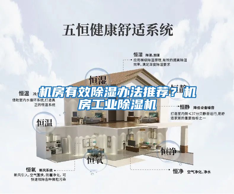 機(jī)房有效除濕辦法推薦？機(jī)房工業(yè)除濕機(jī)