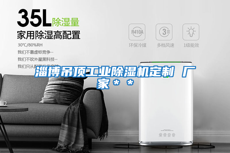 淄博吊頂工業(yè)除濕機定制 廠家＊＊