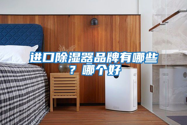 進口除濕器品牌有哪些？哪個好