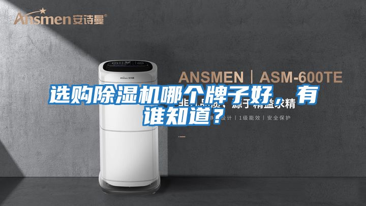 選購(gòu)除濕機(jī)哪個(gè)牌子好，有誰(shuí)知道？