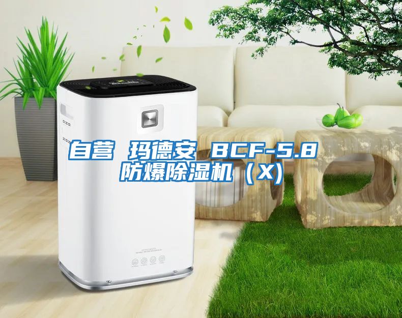 自營 瑪?shù)掳?BCF-5.8 防爆除濕機(jī)(X)