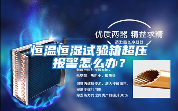 恒溫恒濕試驗箱超壓報警怎么辦？