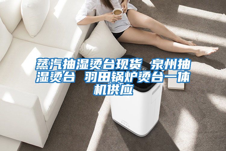 蒸汽抽濕燙臺現(xiàn)貨 泉州抽濕燙臺 羽田鍋爐燙臺一體機(jī)供應(yīng)