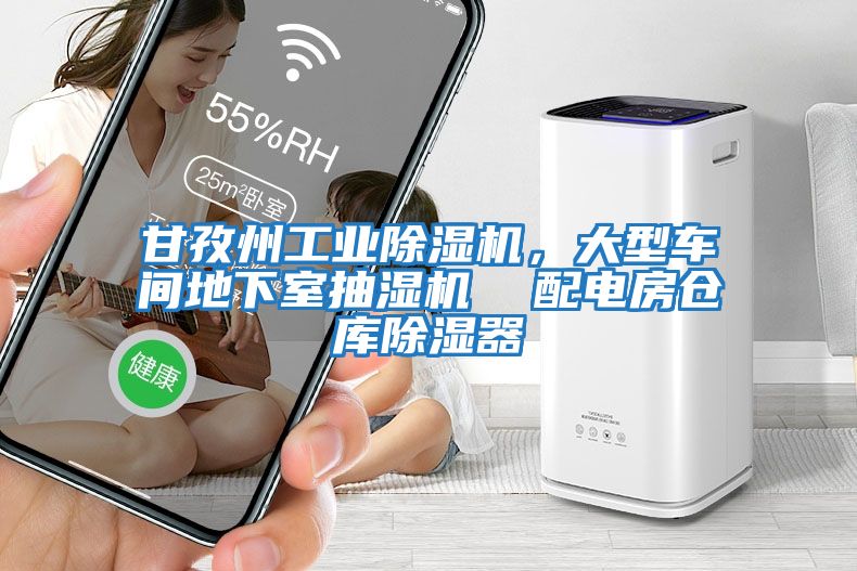 甘孜州工業(yè)除濕機(jī)，大型車間地下室抽濕機(jī)  配電房倉庫除濕器