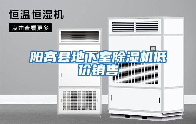 陽(yáng)高縣地下室除濕機(jī)低價(jià)銷(xiāo)售
