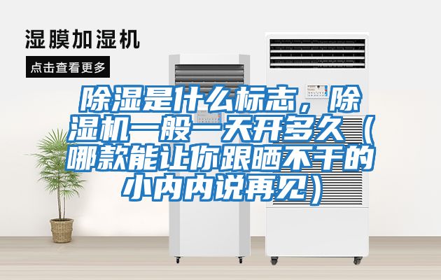 除濕是什么標(biāo)志，除濕機(jī)一般一天開多久（哪款能讓你跟曬不干的小內(nèi)內(nèi)說(shuō)再見）