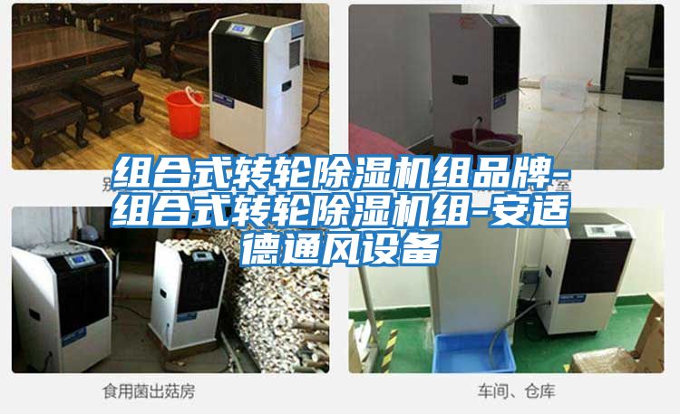組合式轉(zhuǎn)輪除濕機組品牌-組合式轉(zhuǎn)輪除濕機組-安適德通風設備