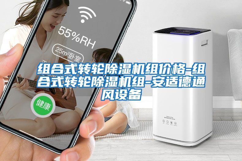 組合式轉(zhuǎn)輪除濕機組價格-組合式轉(zhuǎn)輪除濕機組-安適德通風設備