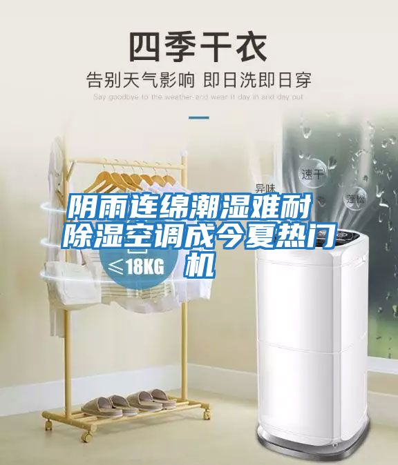 陰雨連綿潮濕難耐 除濕空調(diào)成今夏熱門(mén)機(jī)