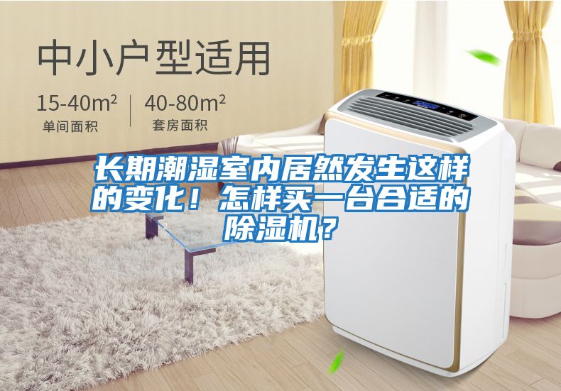 長期潮濕室內居然發(fā)生這樣的變化！怎樣買一臺合適的除濕機？