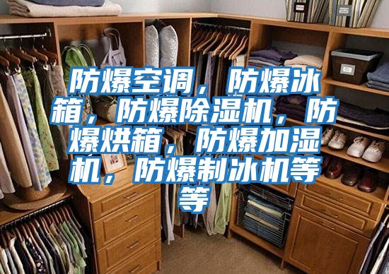 防爆空調，防爆冰箱，防爆除濕機，防爆烘箱，防爆加濕機，防爆制冰機等等