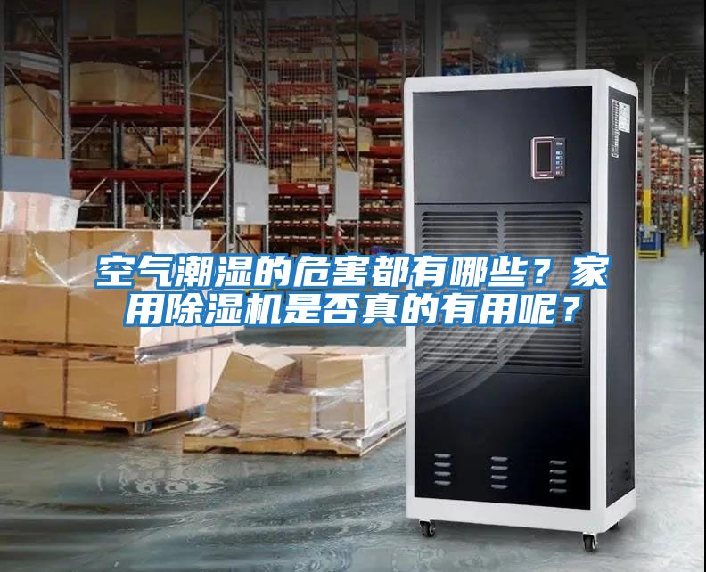 空氣潮濕的危害都有哪些？家用除濕機是否真的有用呢？