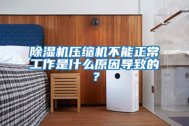 除濕機壓縮機不能正常工作是什么原因?qū)е碌模?></div>
								<div   id=