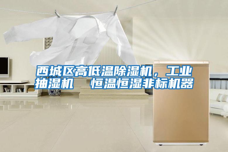 西城區高低溫除濕機，工業抽濕機  恒溫恒濕非標機器
