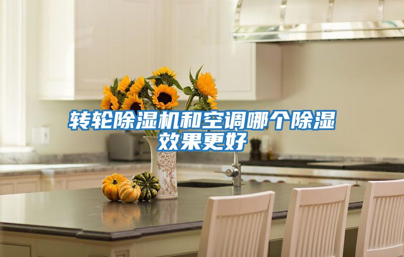 轉輪除濕機和空調(diào)哪個除濕效果更好
