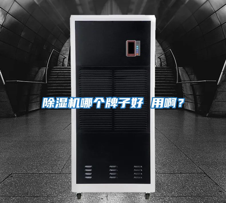 除濕機哪個牌子好 用?。?></div>
								<div   id=