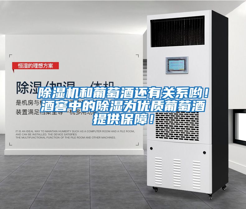 除濕機和葡萄酒還有關系喲！酒窖中的除濕為優質葡萄酒提供保障！