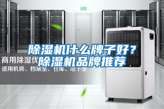 除濕機(jī)什么牌子好?除濕機(jī)品牌推薦