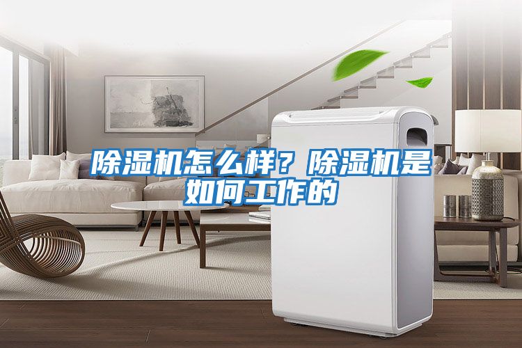 除濕機怎么樣？除濕機是如何工作的