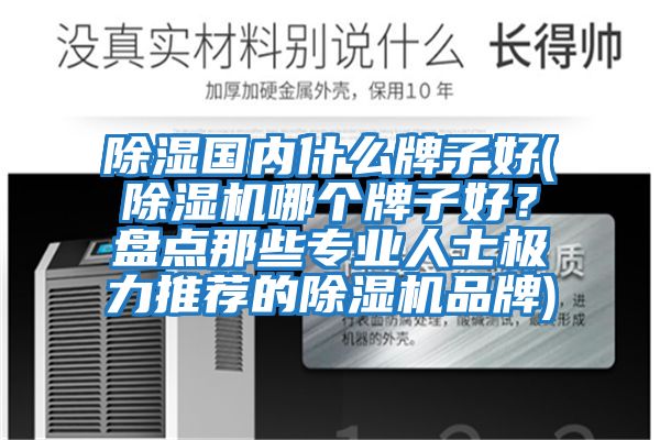 除濕國內(nèi)什么牌子好(除濕機哪個牌子好？盤點那些專業(yè)人士極力推薦的除濕機品牌)