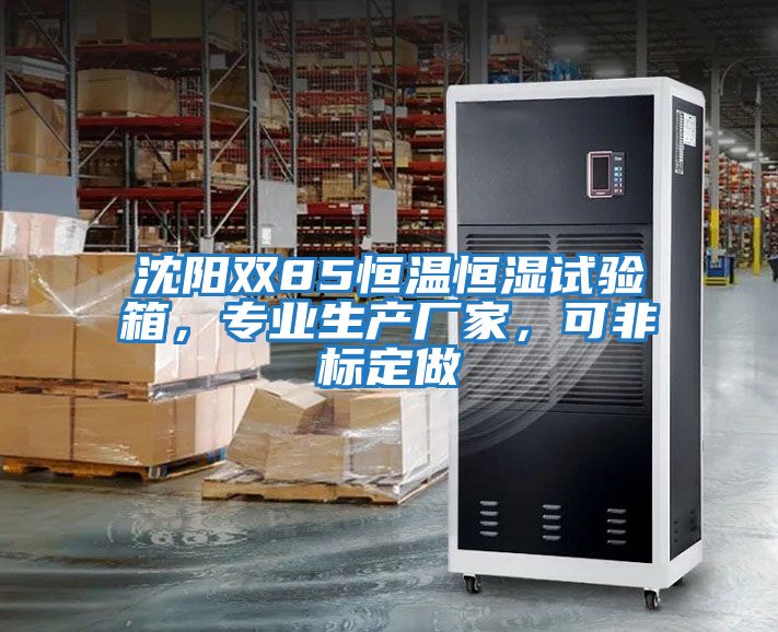 沈陽雙85恒溫恒濕試驗箱，專業(yè)生產(chǎn)廠家，可非標定做