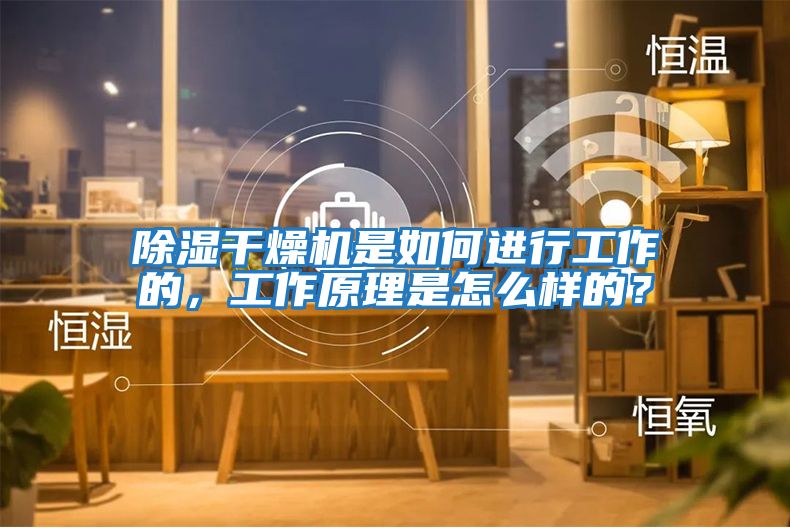 除濕干燥機是如何進行工作的，工作原理是怎么樣的？