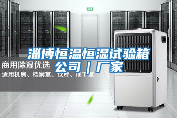 淄博恒溫恒濕試驗箱公司|廠家