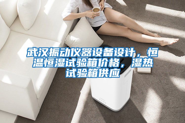 武漢振動儀器設備設計，恒溫恒濕試驗箱價格，濕熱試驗箱供應