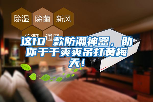 這10 款防潮神器，助你干干爽爽吊打黃梅天！