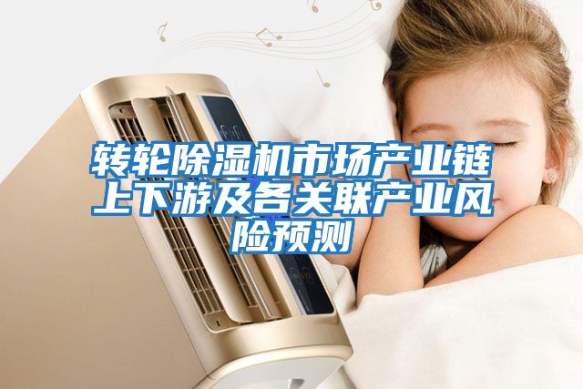 轉(zhuǎn)輪除濕機市場產(chǎn)業(yè)鏈上下游及各關聯(lián)產(chǎn)業(yè)風險預測