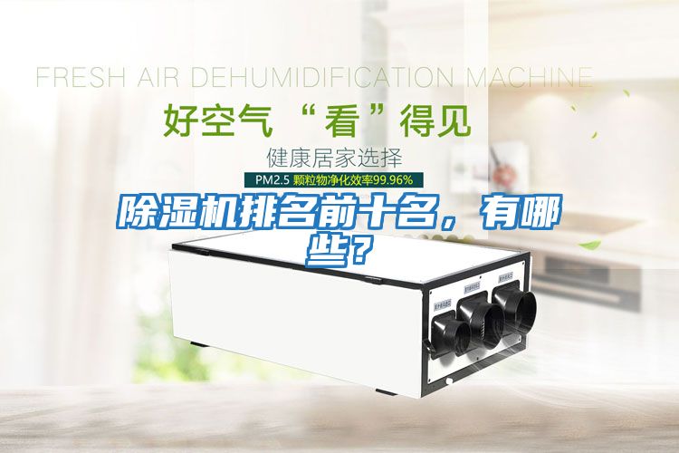 除濕機排名前十名，有哪些？