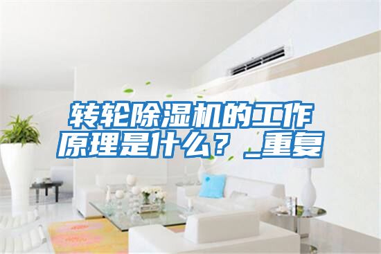 轉輪除濕機的工作原理是什么？_重復