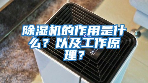 除濕機(jī)的作用是什么？以及工作原理？