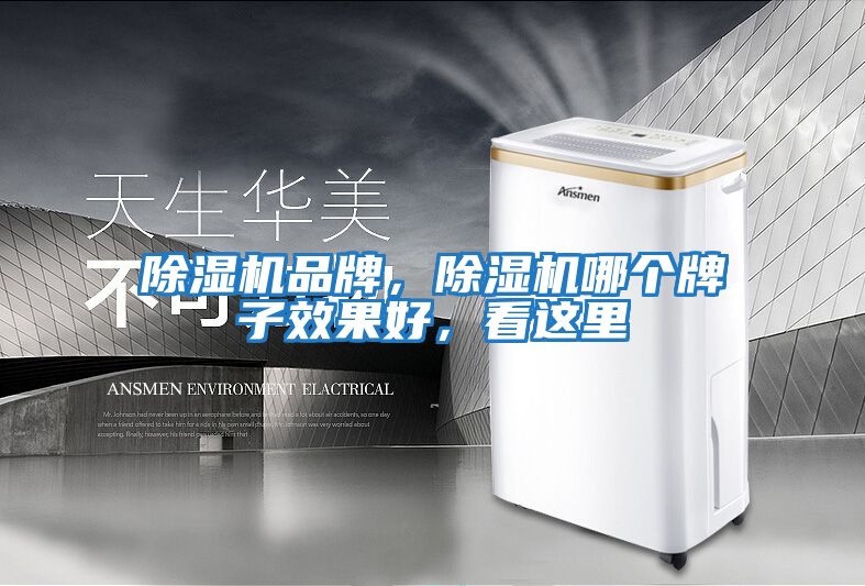 除濕機(jī)品牌，除濕機(jī)哪個(gè)牌子效果好，看這里