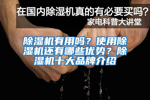 除濕機有用嗎？使用除濕機還有哪些優勢？除濕機十大品牌介紹