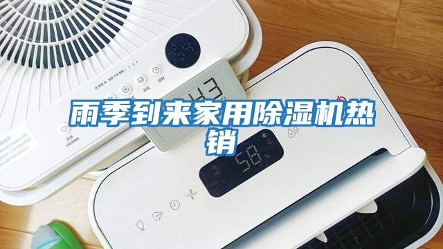 雨季到來(lái)家用除濕機(jī)熱銷