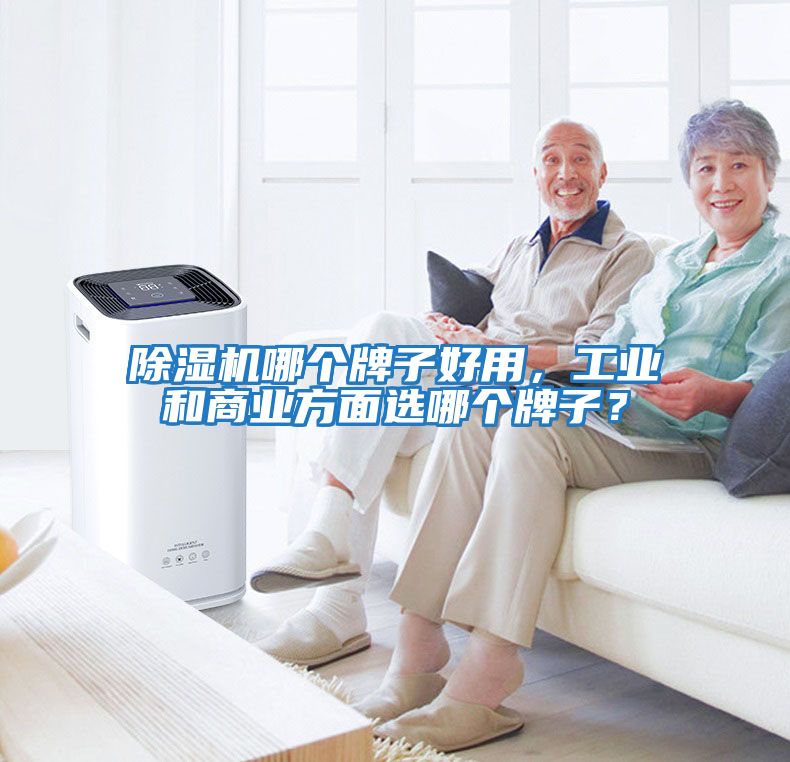 除濕機哪個牌子好用，工業和商業方面選哪個牌子？