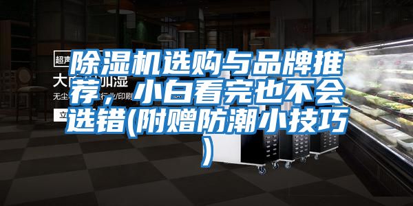 除濕機選購與品牌推薦，小白看完也不會選錯(附贈防潮小技巧)