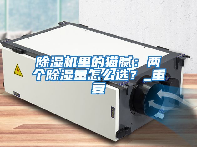 除濕機里的貓膩：兩個除濕量怎么選？_重復
