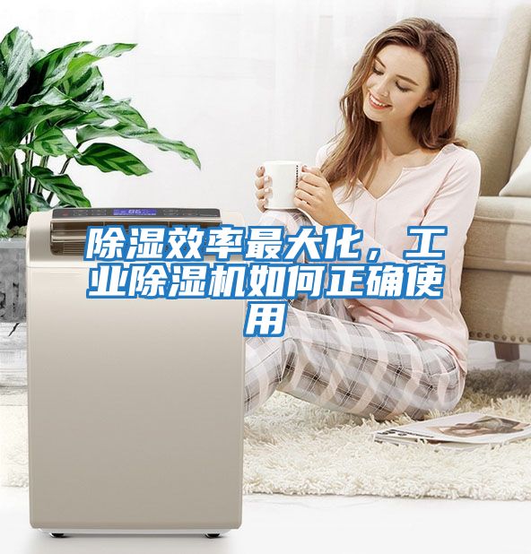除濕效率最大化，工業除濕機如何正確使用