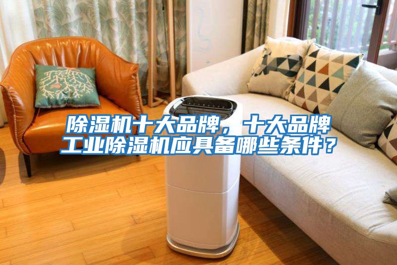 除濕機十大品牌，十大品牌工業(yè)除濕機應(yīng)具備哪些條件？