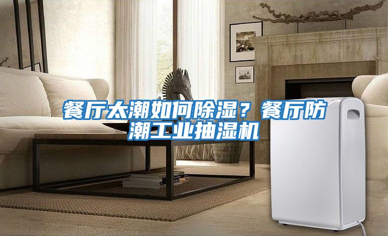 餐廳太潮如何除濕？餐廳防潮工業(yè)抽濕機