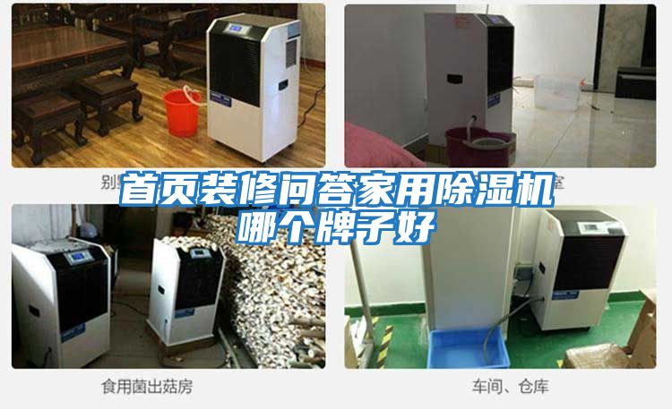 首頁裝修問答家用除濕機(jī)哪個牌子好