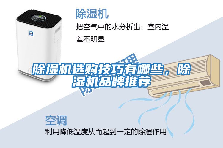 除濕機選購技巧有哪些，除濕機品牌推薦