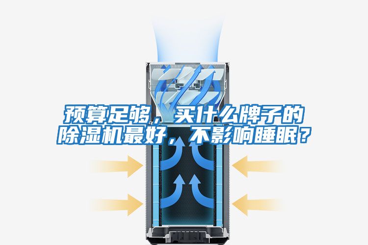 預(yù)算足夠，買什么牌子的除濕機(jī)最好，不影響睡眠？